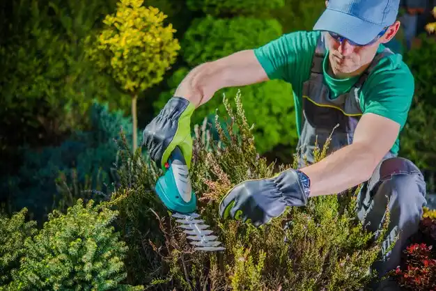 landscaping services Bedford Heights